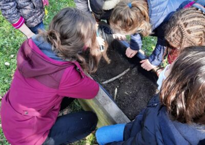 Activité jardinage - - Espace Pierre Valdo Lyon 5