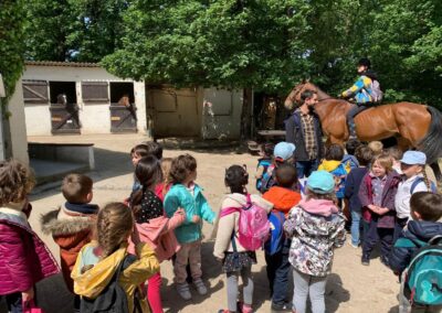 Les Ti Doudous/Zouzous au centre équestre « La Clairière du Findez » – mercredi 10 et 14 mai 2023