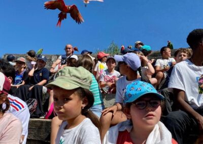 Les Globetrotters au Parc des oiseaux – mercredi 14 juin 2023